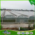 Cheap eco-friendly hot-sale plastic film for greenhouse to thailand